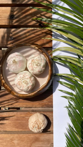 شات طرح چوب پیونی