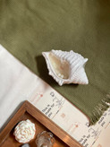 شات صدفی
